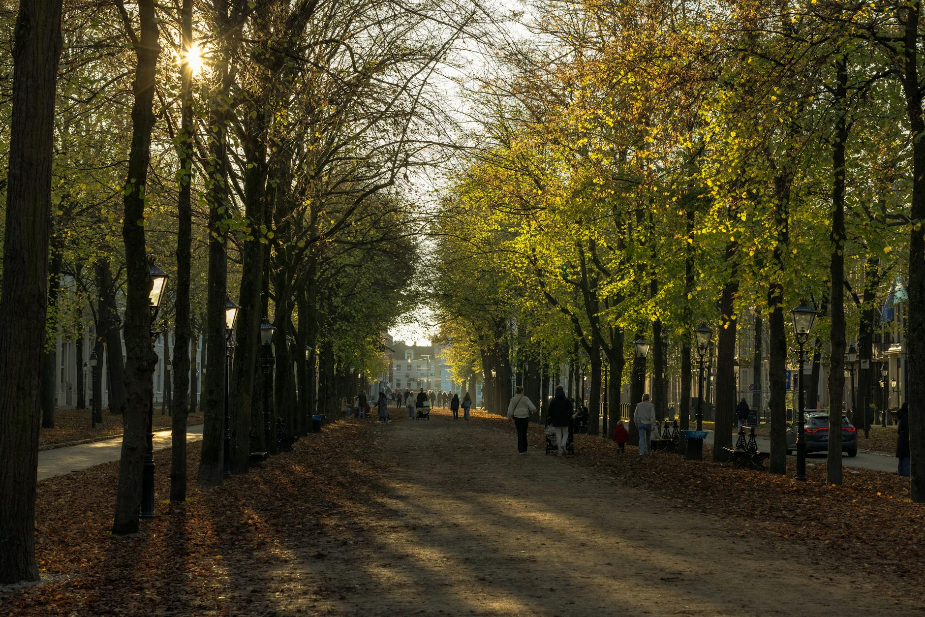 Holland Park Superhelden Berlin News