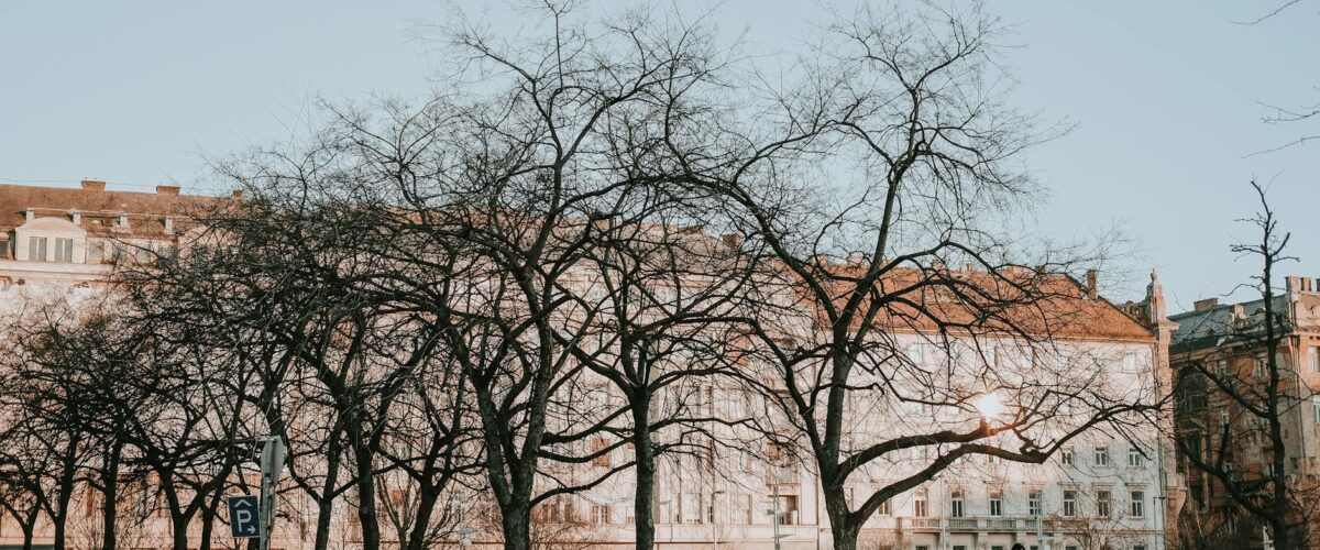 Kita Platzmangel Berlin Berlin News