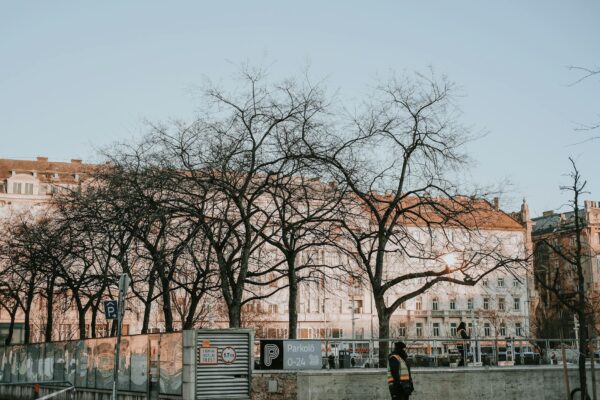 Kita Platzmangel Berlin Berlin News