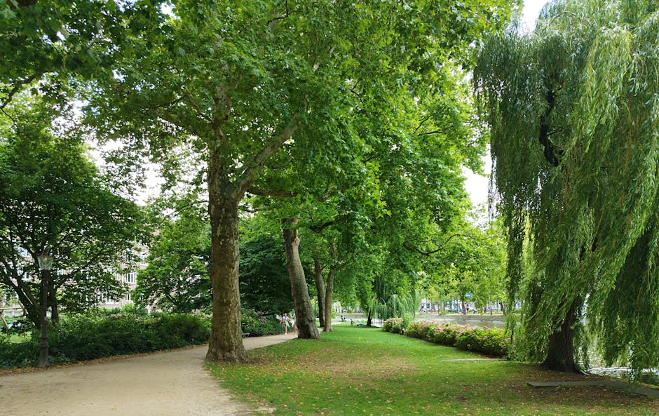 Parks Spandau Sicherheit Berlin News