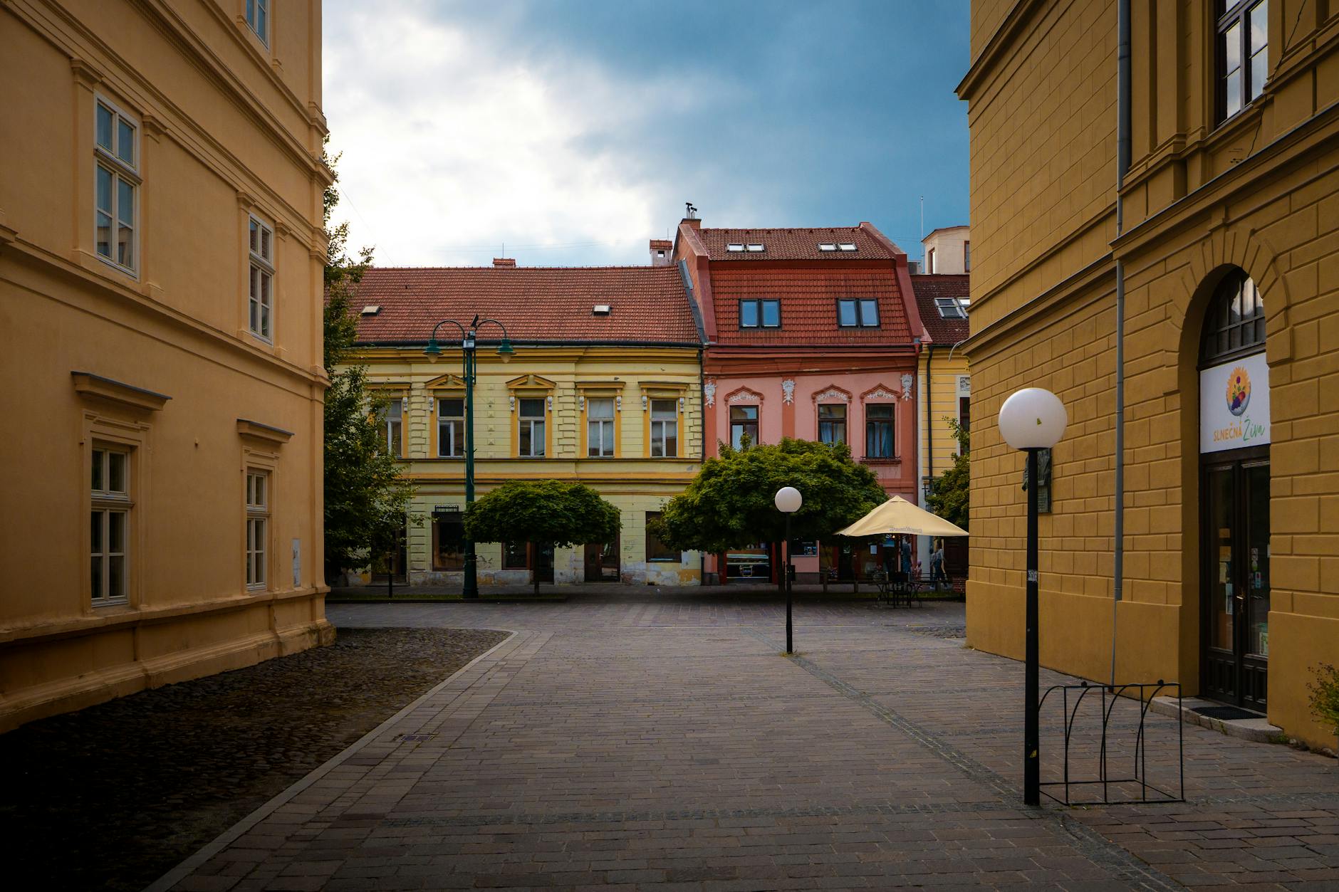 Ratten Reuterplatz Berlin News