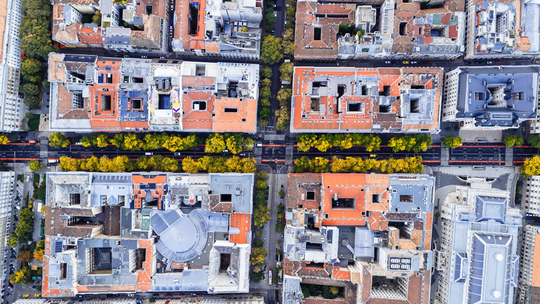 Schüsse Hermannstraße Berlin News