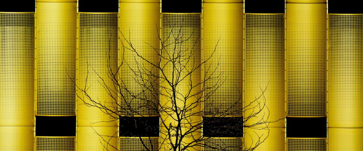 WG gründen Berlin Berlin News