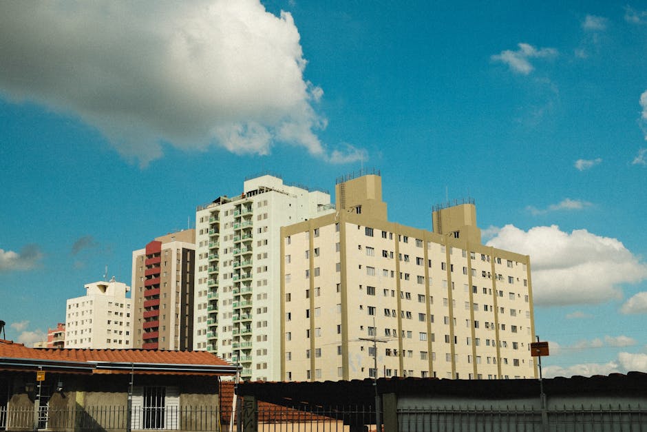 Wohnung Mieten Berlin Guide Berlin News