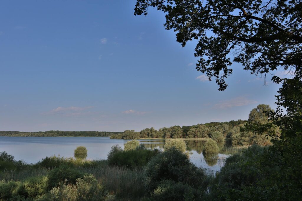 Blick &uuml;ber den ruhigen M&uuml;ggelsee, ein beliebter Ort f&uuml;r FKK in Berlin, umgeben von Wald.