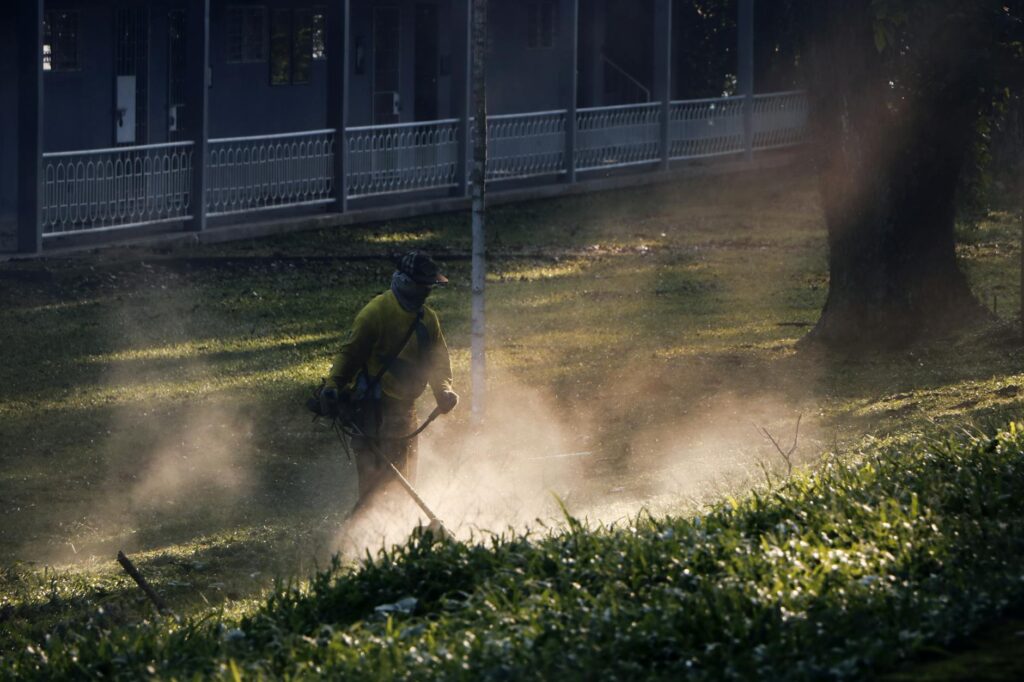 Eine Person bei der professionellen Grabpflege, die Blumen auf einem Grab auf einem Friedhof in Spandau arrangiert.