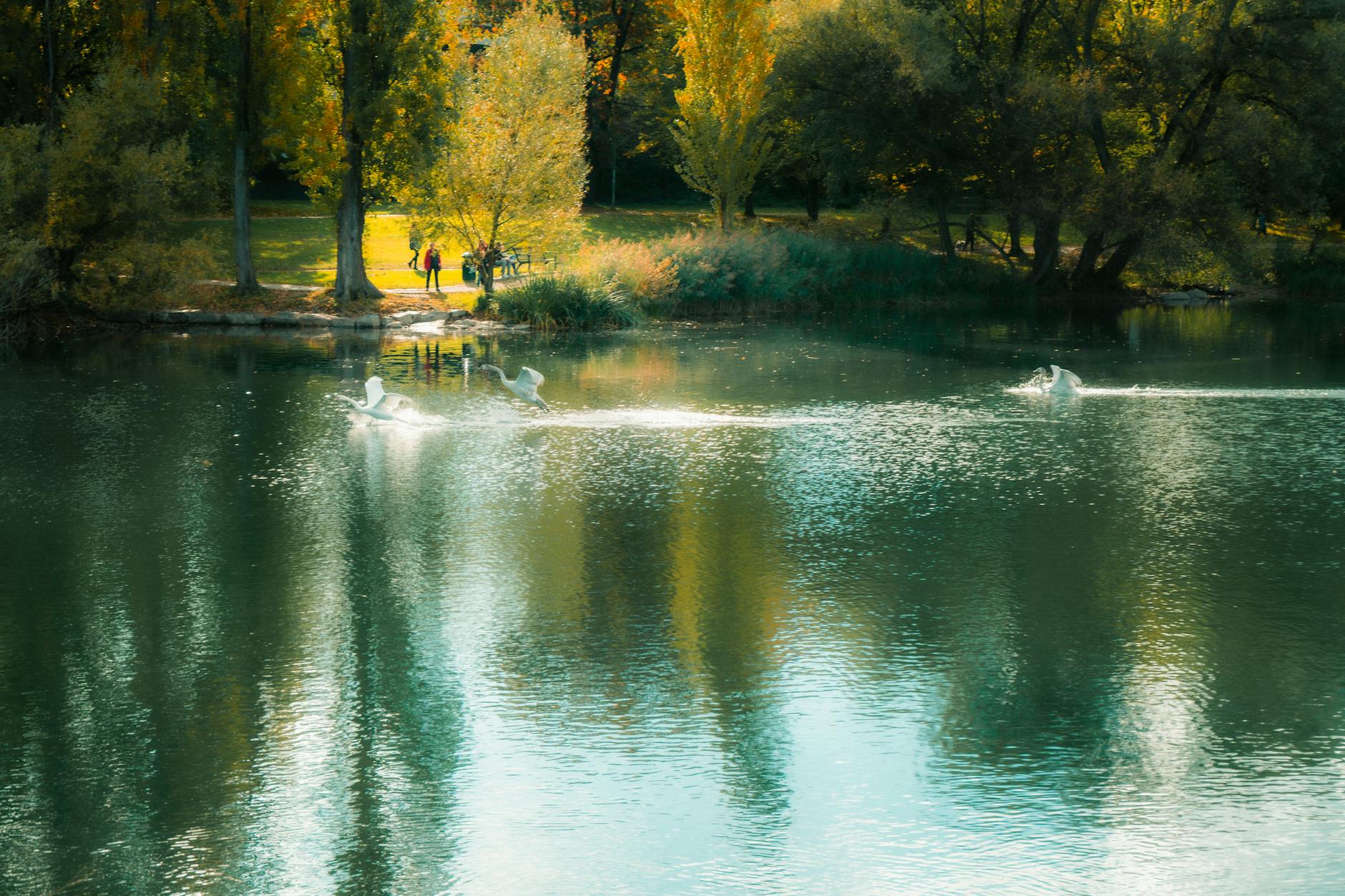 Görlitzer Park