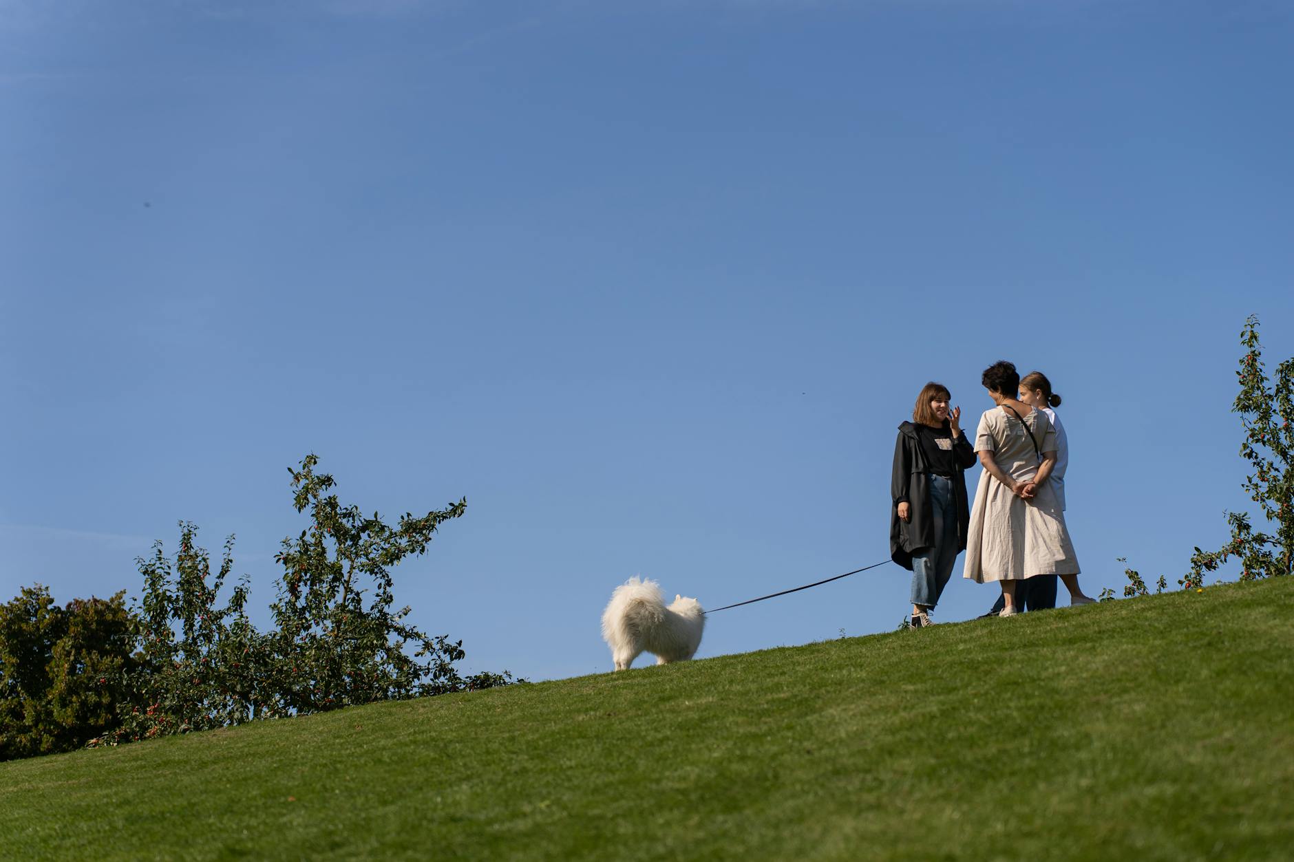 Hundewiese Kreuzberg