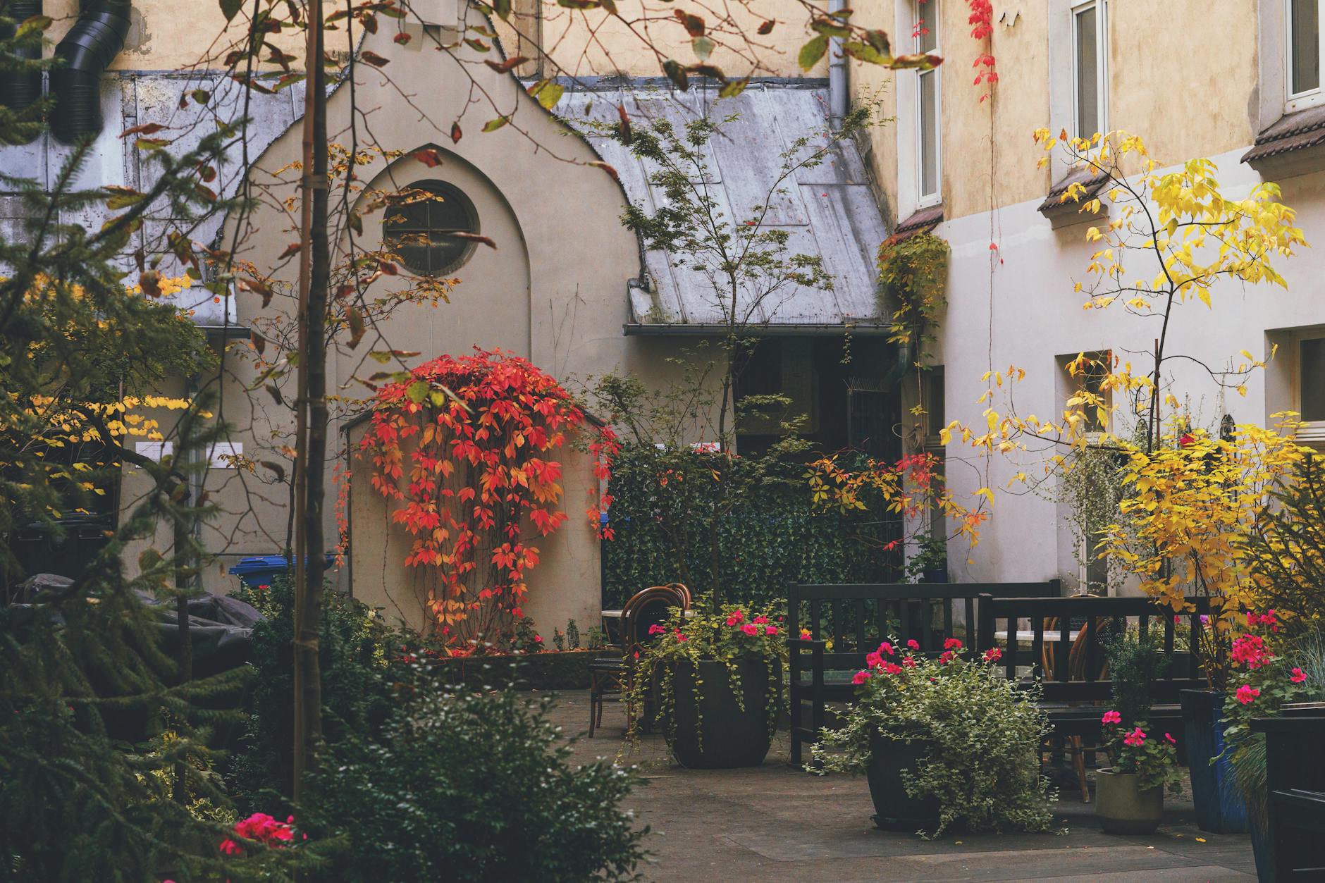 Kleingarten Neukölln