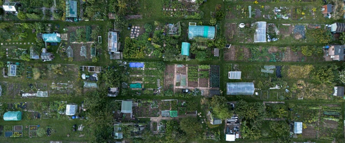 Übersicht einer Kleingarten Spandau Anlage mit gepflegten Wegen, blühenden Gärten und kleinen Gartenlauben unter blauem Himmel.
