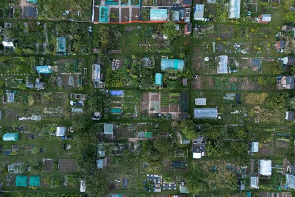 Übersicht einer Kleingarten Spandau Anlage mit gepflegten Wegen, blühenden Gärten und kleinen Gartenlauben unter blauem Himmel.