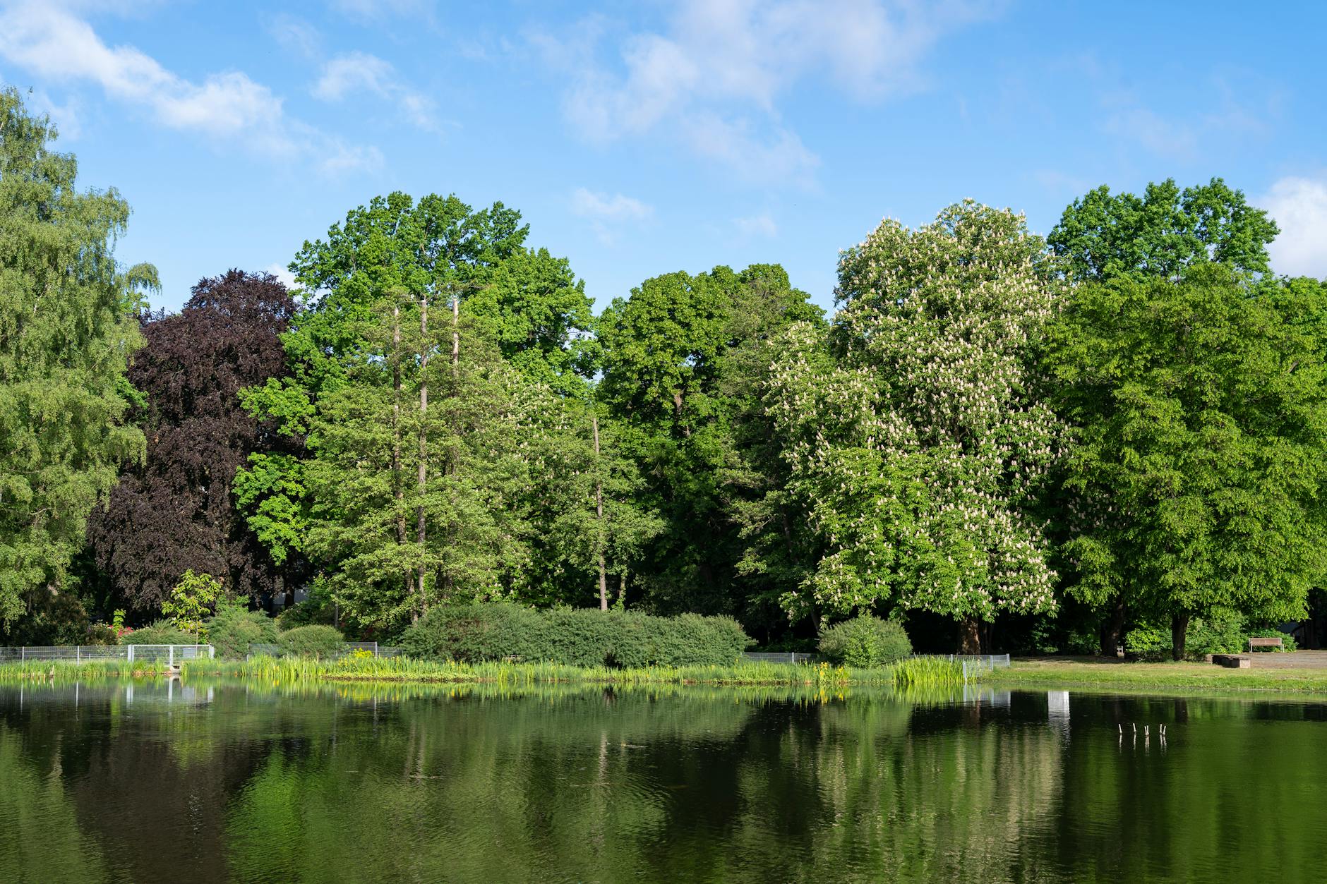 Tiergarten