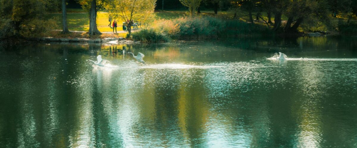 Volkspark Friedrichshain