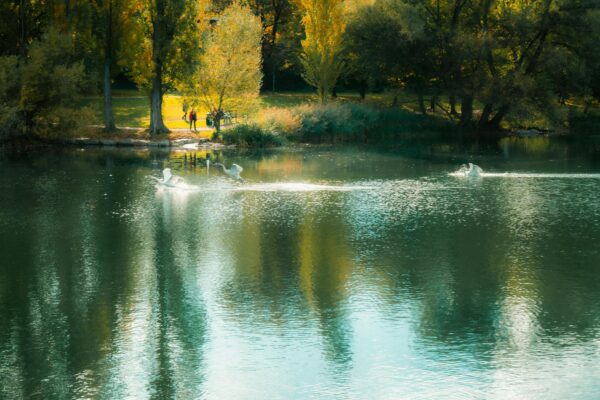Volkspark Friedrichshain