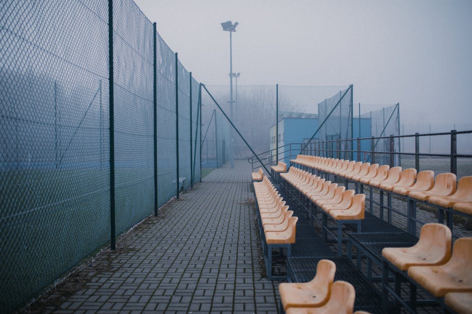 Berliner Sportverein beitreten Berlin News