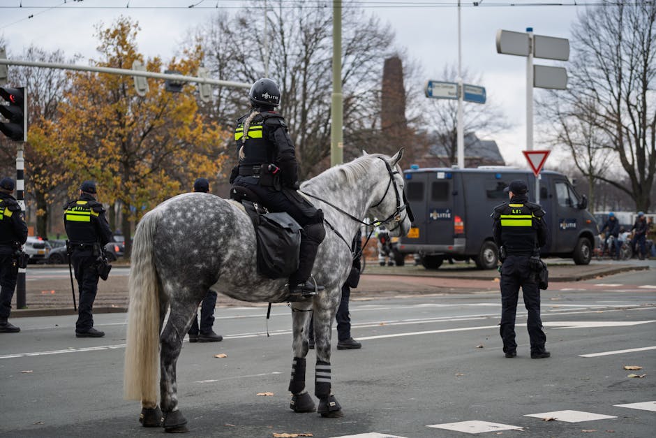 Darknet Berlin Ermittlungen Berlin News