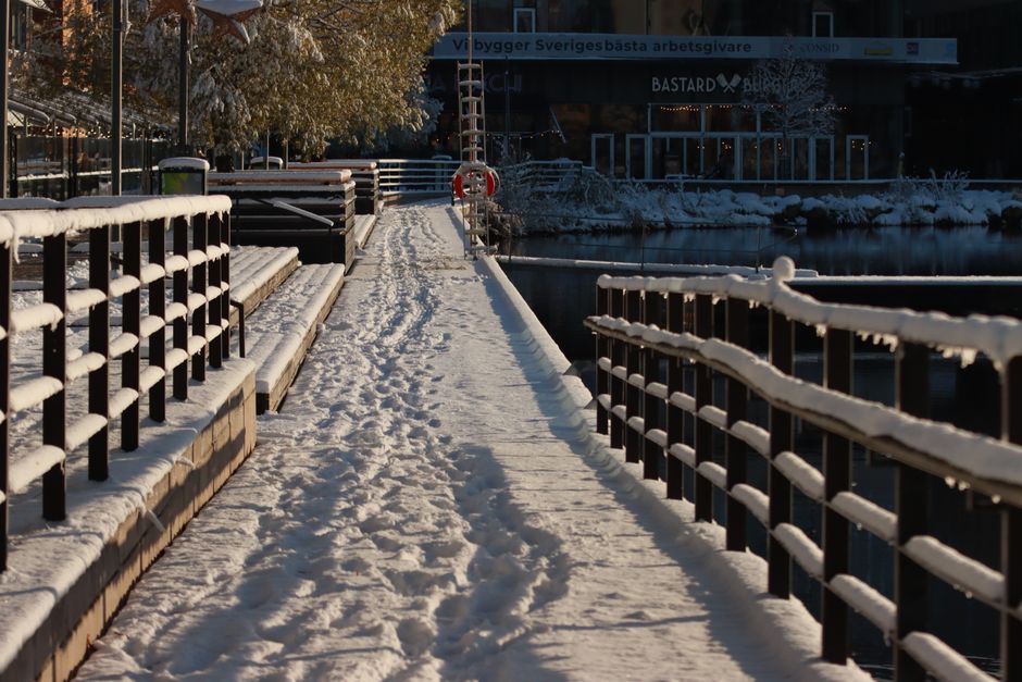Frost Berlin Erster Frost Berlin News