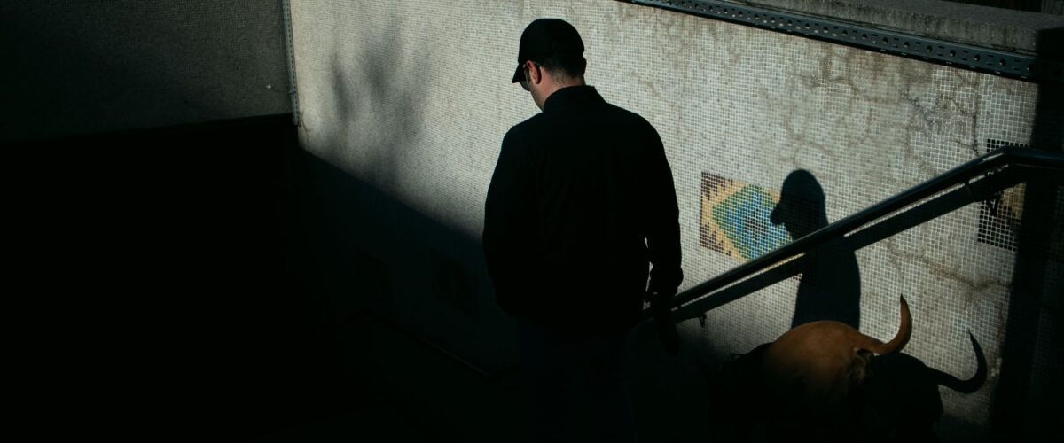 Häusliche Gewalt Berlin Hilfe Berlin News