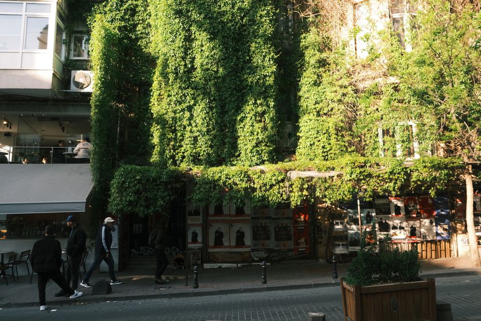 Kino Berlin Programmkinos Berlin News