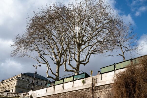 Klimaabkommen Paris 2025 Berlin News