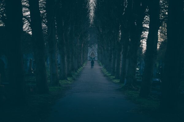 Eine herbstliche Allee auf einem Friedhof in Marzahn, gesäumt von alten Grabsteinen und buntem Laub, als Symbol für Ruhe und Gedenken.