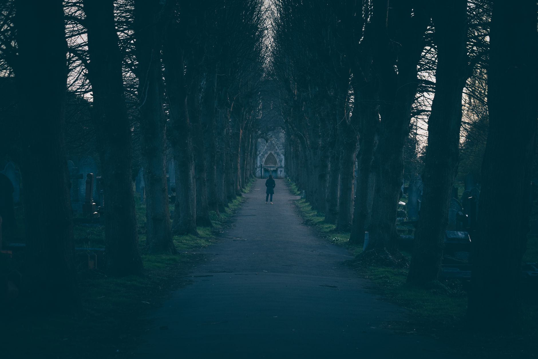 Eine herbstliche Allee auf einem Friedhof in Marzahn, gesäumt von alten Grabsteinen und buntem Laub, als Symbol für Ruhe und Gedenken.