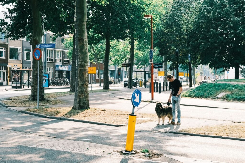 Ein angeleinter Hund sitzt neben einem Schild, das auf die Regeln f&uuml;r Hundehalter und die Leinenpflicht im Bezirk Marzahn hinweist.