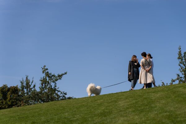 Hundewiese Reinickendorf