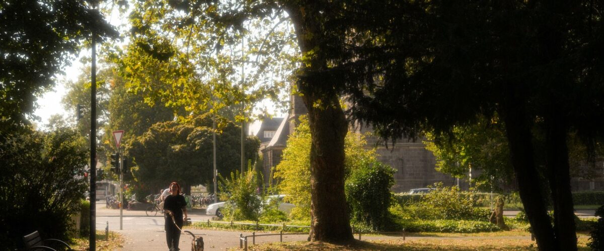 Park am Gleisdreieck