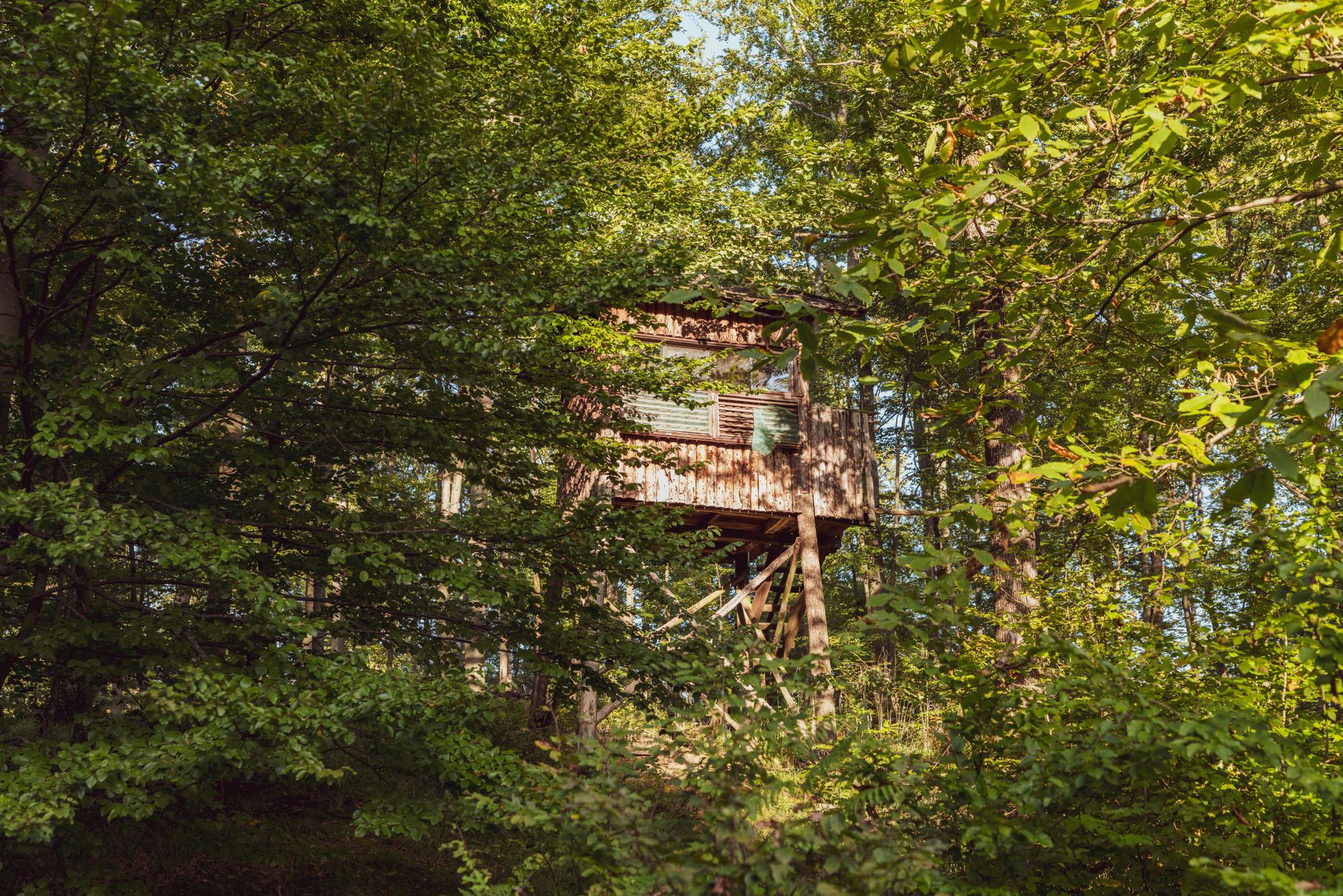 Baumhaus an der Mauer – Was ist das Baumhaus an der Mauer?