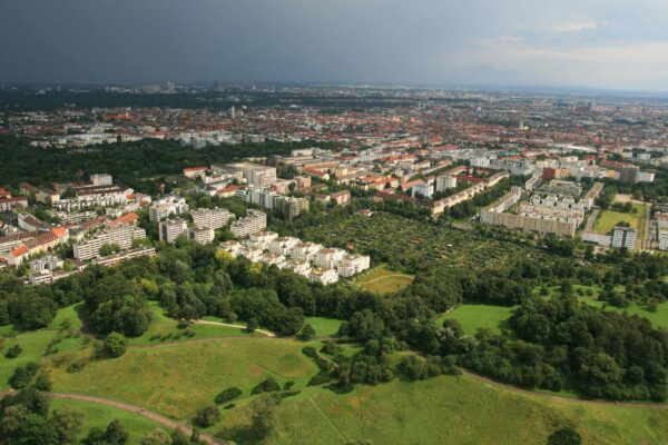 StadtGrün naturnah: Blühende Wildwiese in einem Park in Treptow-Köpenick