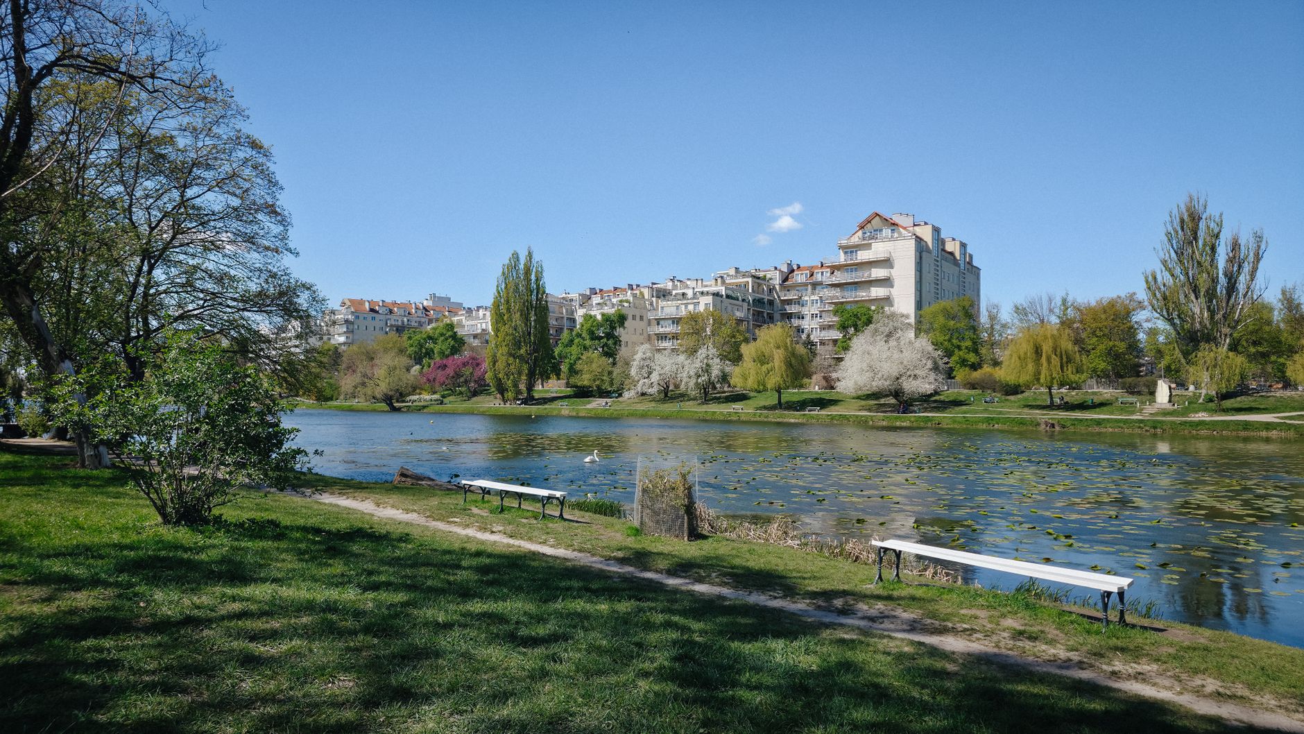 G&ouml;rlitzer Park &ndash; G&ouml;rlitzer Park: Was im Wohnhaus an der Reichenberger Stra&szlig;e passiert