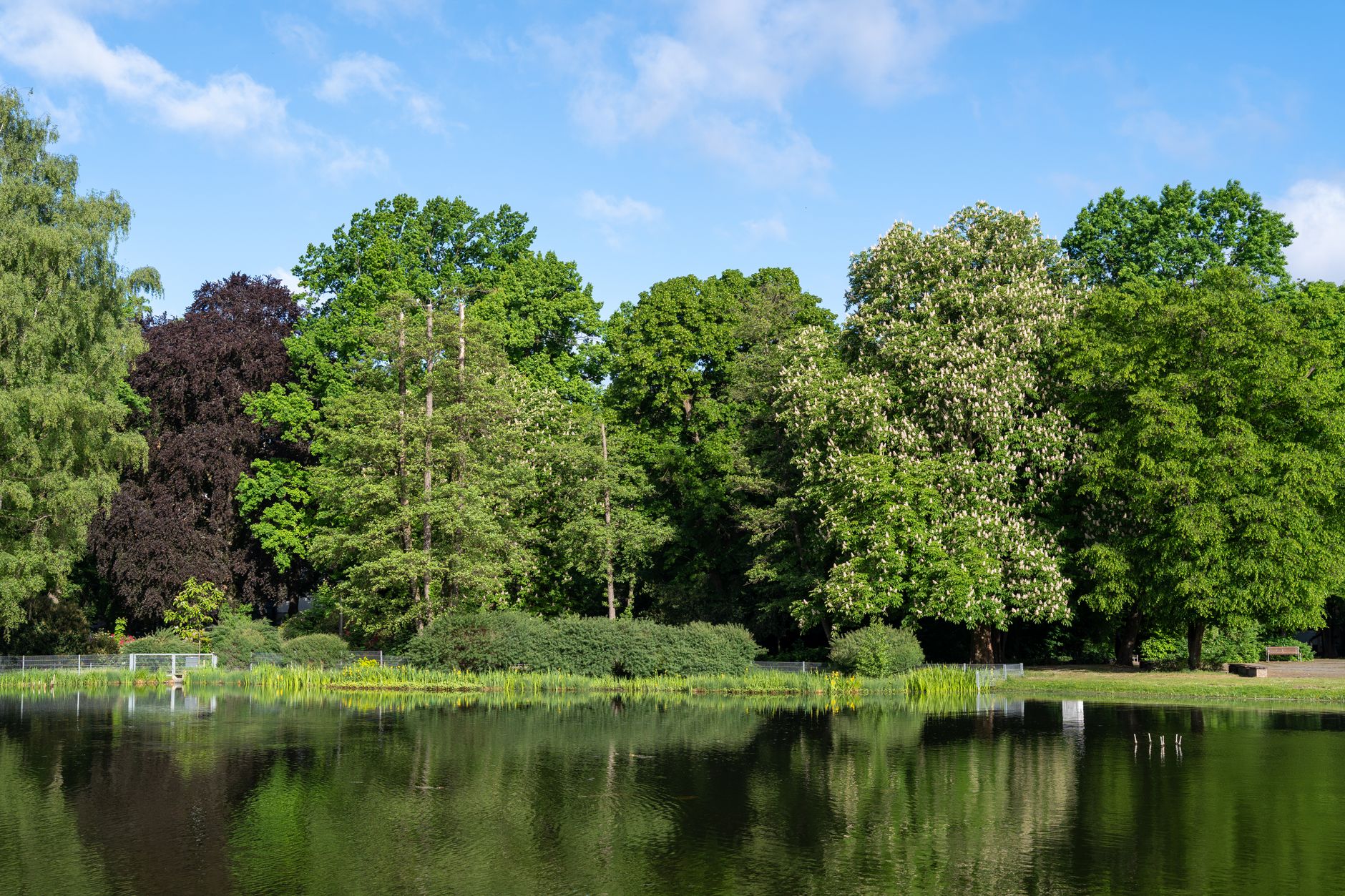 Viktoriapark