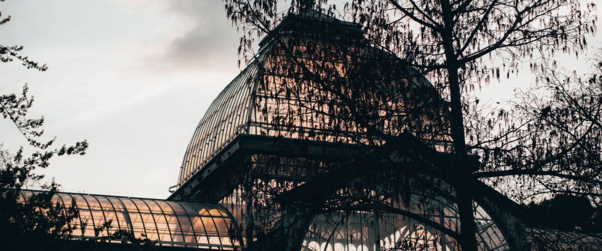 Botanischer Garten Berlin Gärten Berlin News