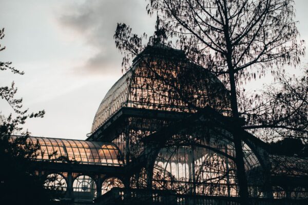 Botanischer Garten Berlin Gärten Berlin News