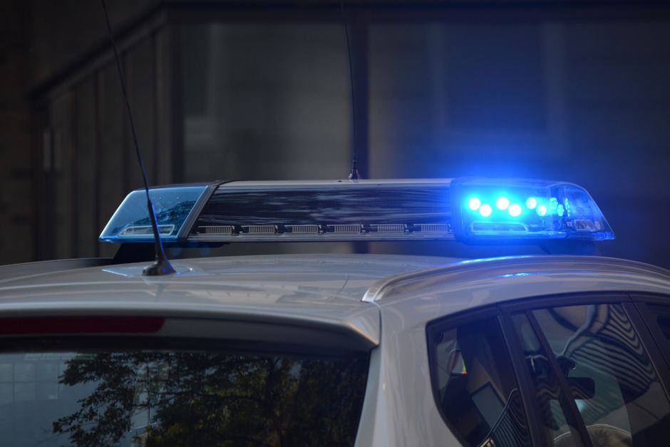 Sch&ouml;ffe werden Berlin Berlin News