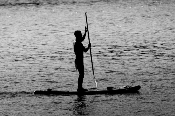 Sup Berlin Verleih Spots Berlin News