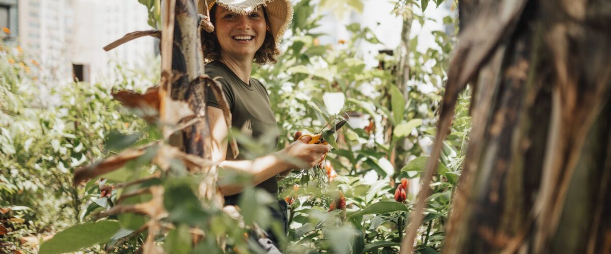Urban Gardening Berlin Gärten Berlin News