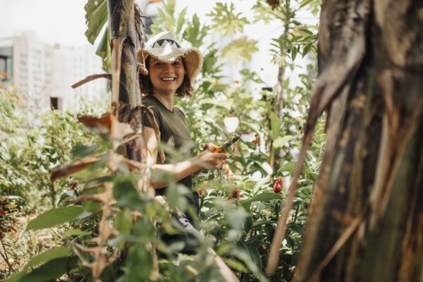 Urban Gardening Berlin Gärten Berlin News