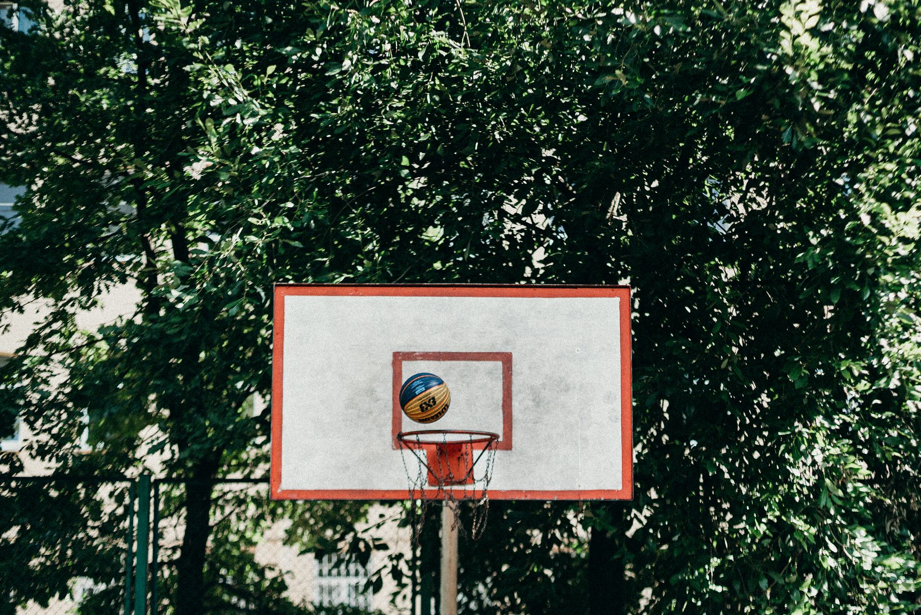 Basketballkorb auf einem Freiplatz im Park – neue Courts am Lietzenseepark in Charlottenburg
