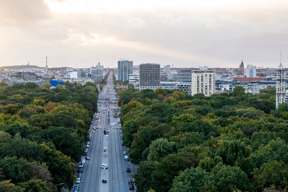 Eisheilige Letzter Frost Berlin Berlin News