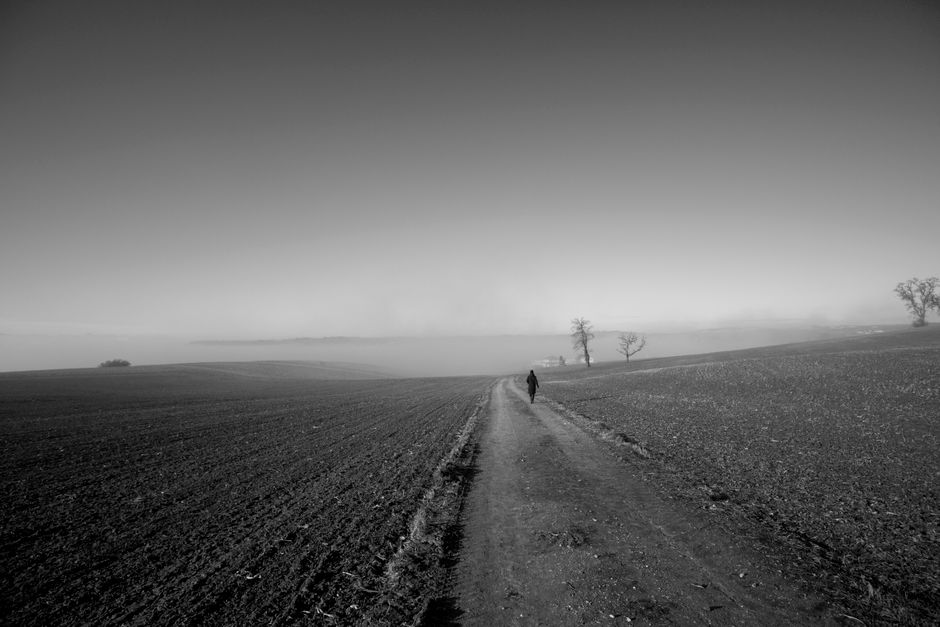 Nebel in Berlin: Wann und wo er am häufigsten auftritt – BerlinEcho Nebel Berlin Häufigkeit Berlin News