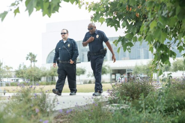 Polizeiruf 110 beste Folgen Berlin News