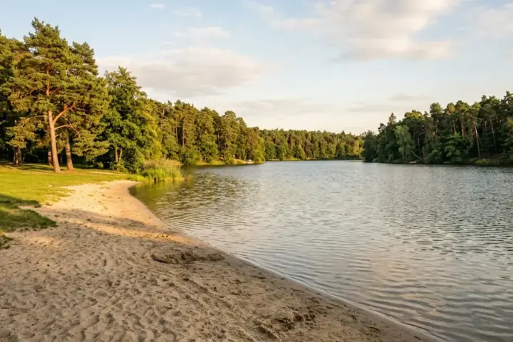 Menschenleerer Sandstrand an einem Berliner Badesee mit Liegewiese und Kiefern im warmen Licht des Spätsommers.