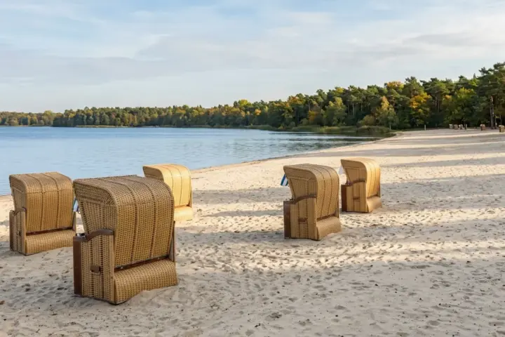 Mehrere Strandkörbe stehen im warmen Herbstlicht auf dem weiten Sandstrand vor dem ruhigen Wannsee und fernen Bäumen.